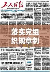 落实党组织规章制度，规范党组织的制度建设 