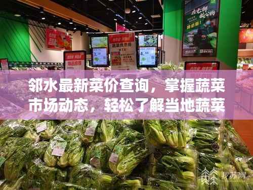 邻水最新菜价查询,掌握蔬菜市场动态,轻松了解当地蔬菜价格!