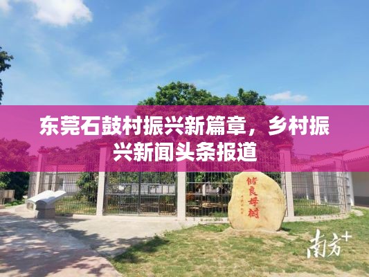 东莞石鼓村振兴新篇章,乡村振兴新闻头条报道