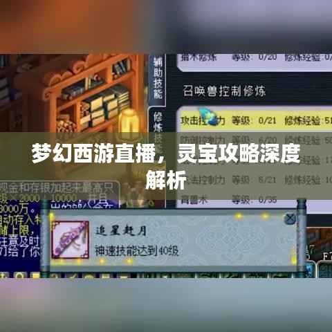 梦幻西游直播，灵宝攻略深度解析