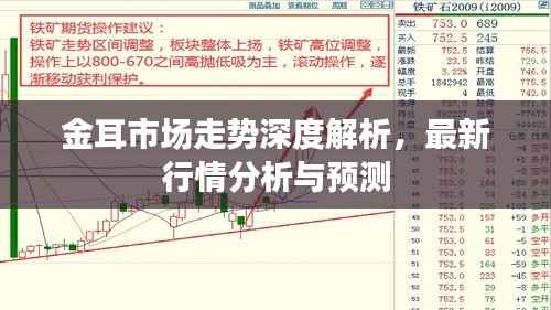 金耳市场走势深度解析,最新行情分析与预测
