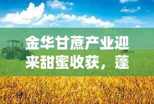 金华甘蔗产业迎来甜蜜收获,蓬勃发展势头强劲