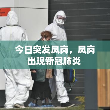 今日突发凤岗，凤岗出现新冠肺炎 