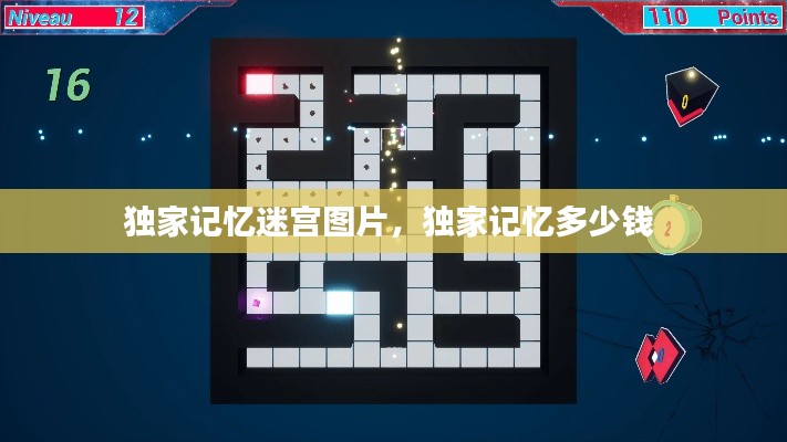 独家记忆迷宫图片,独家记忆多少钱