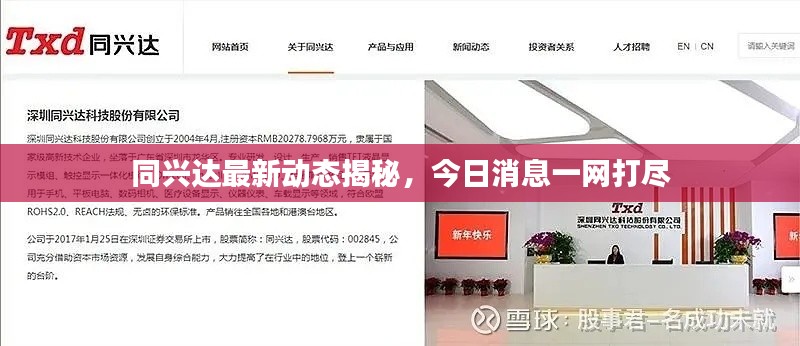 同兴达最新动态揭秘，今日消息一网打尽