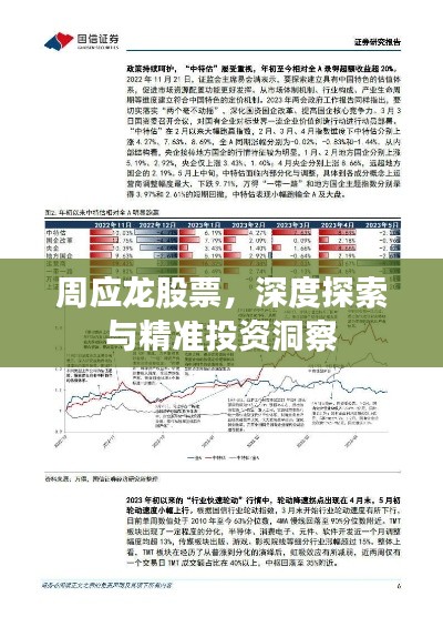 展翅高飞 第3页