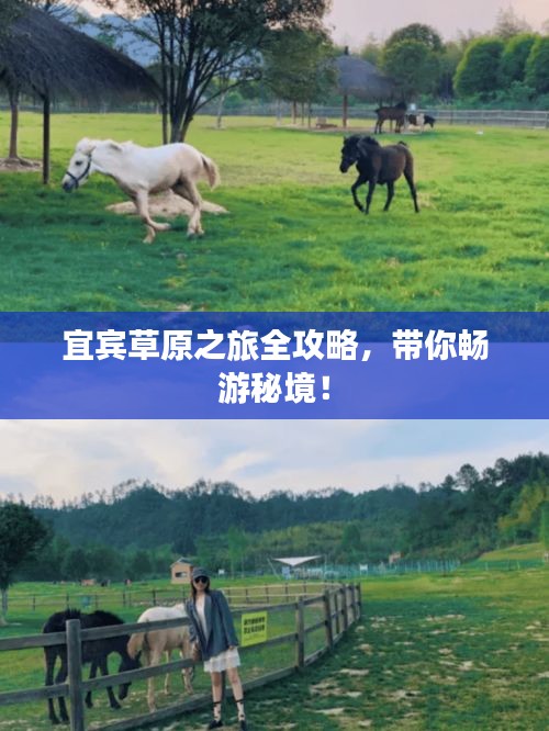 宜宾草原之旅全攻略,带你畅游秘境!