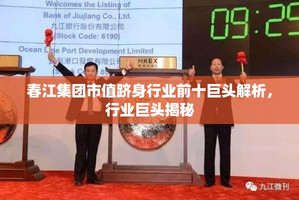 春江集团市值跻身行业前十巨头解析,行业巨头揭秘