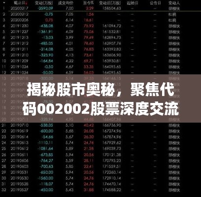 揭秘股市奥秘,聚焦代码002002股票深度交流