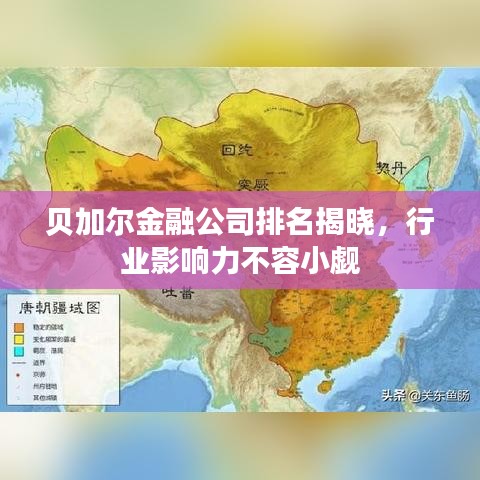 贝加尔金融公司排名揭晓,行业影响力不容小觑