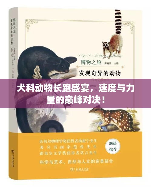 犬科动物长跑盛宴,速度与力量的巅峰对决!