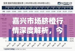 嘉兴市场脐橙行情深度解析,今日价格、销量及趋势一网打尽