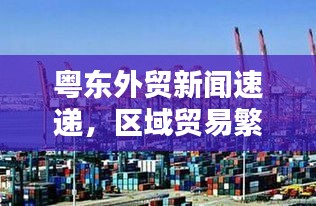 粤东外贸新闻速递，区域贸易繁荣开启经济新篇章