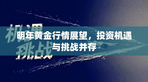 鸷鸟不群 第2页