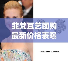 菲梵耳艺团购最新价格表曝光