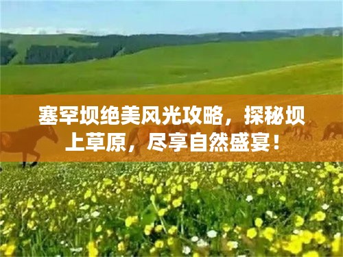 塞罕坝绝美风光攻略，探秘坝上草原，尽享自然盛宴！