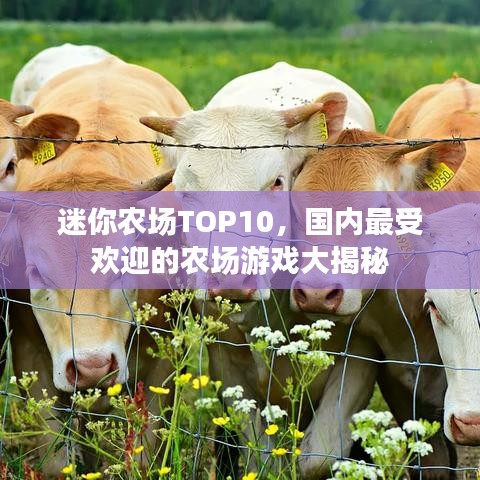 迷你农场TOP10,国内最受欢迎的农场游戏大揭秘