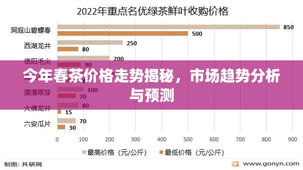 今年春茶价格走势揭秘，市场趋势分析与预测