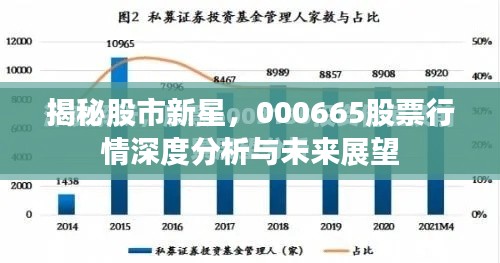 揭秘股市新星,000665股票行情深度分析与未来展望