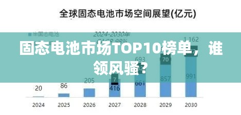 固态电池市场TOP10榜单，谁领风骚？