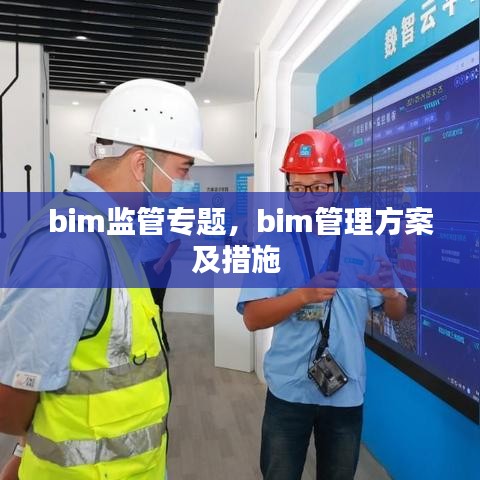 bim监管专题,bim管理方案及措施