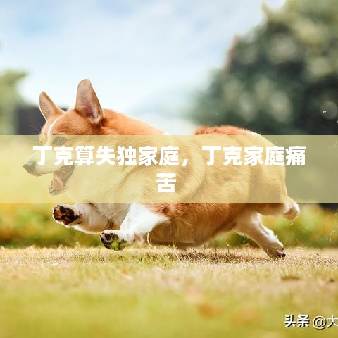 天生丽质 第2页