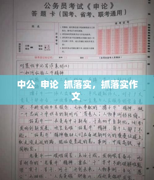 中公 申论 抓落实,抓落实作文