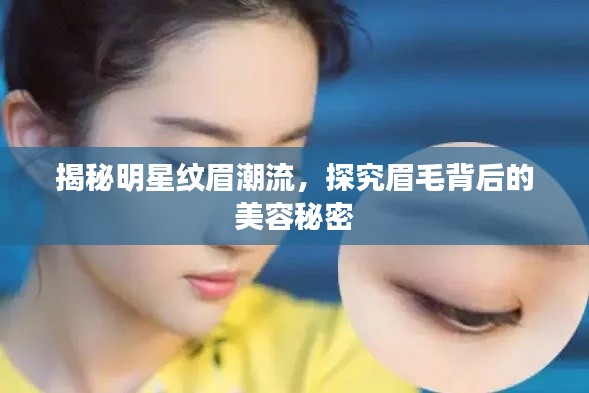 揭秘明星纹眉潮流，探究眉毛背后的美容秘密