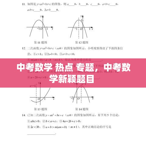 中考数学 热点 专题,中考数学新颖题目
