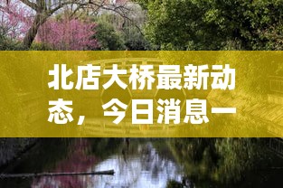 北店大桥最新动态,今日消息一览