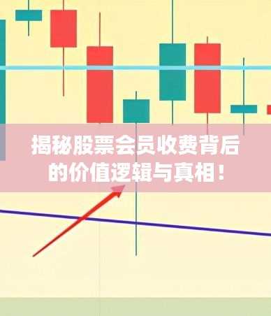 揭秘股票会员收费背后的价值逻辑与真相!
