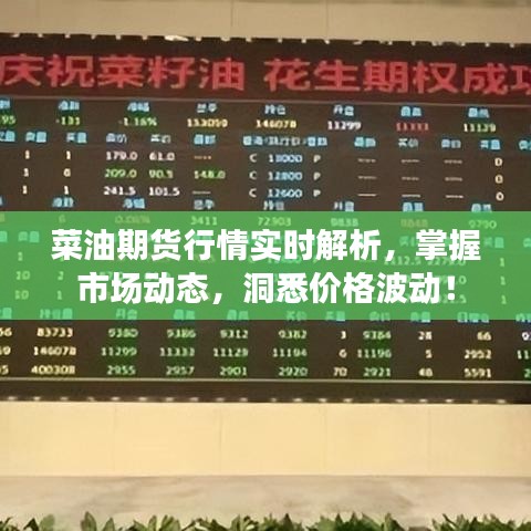 菜油期货行情实时解析，掌握市场动态，洞悉价格波动！